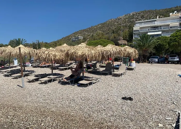 Relax Apartment 50M From The Sea